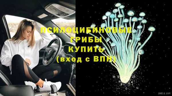 индика Верхнеуральск